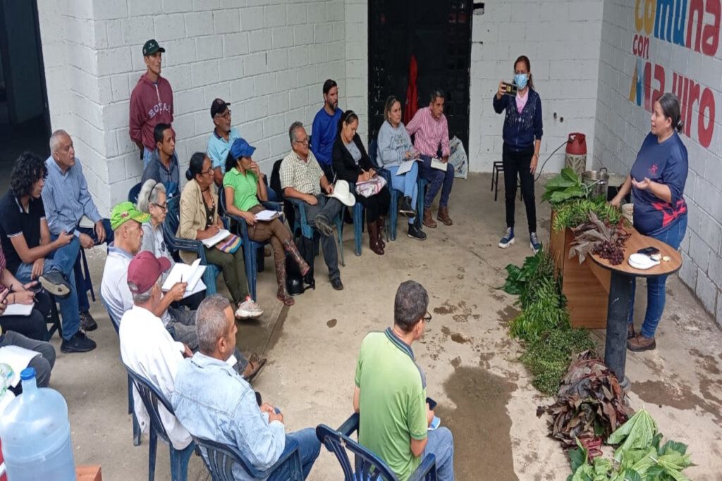 Productores de café innovan cultivos en Portuguesa